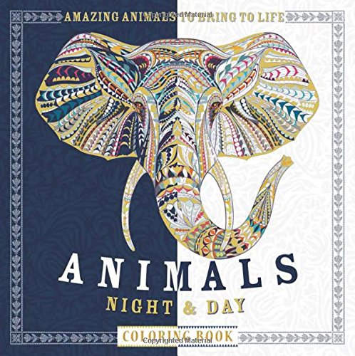 Animals Night & Day Colouring Book