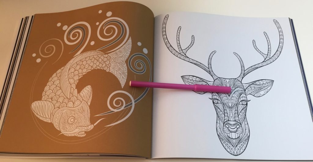 Variety of animals including ocean creatures