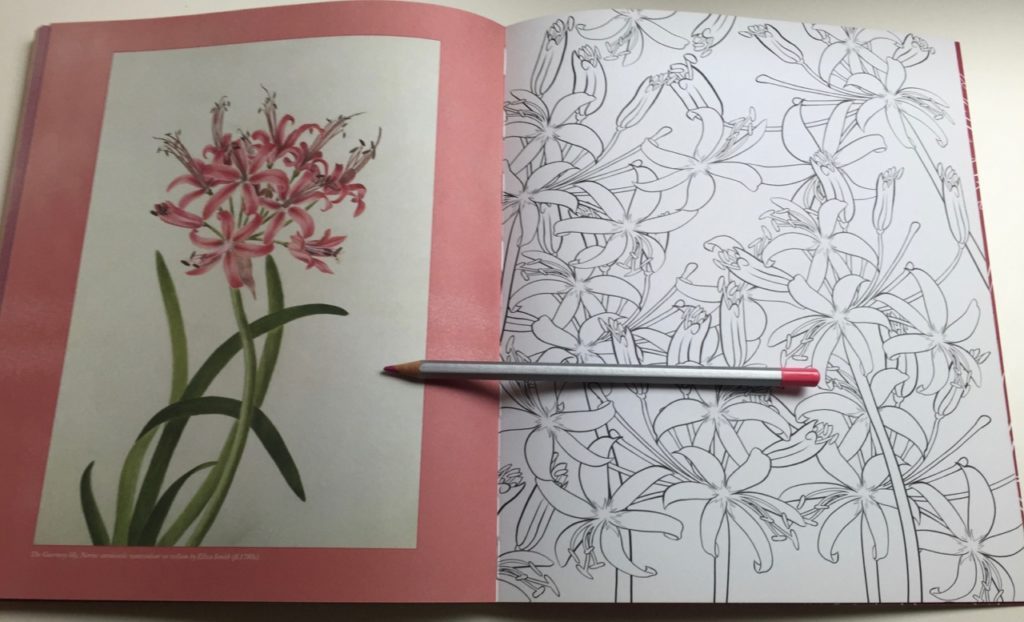 inspirational images and line art to color