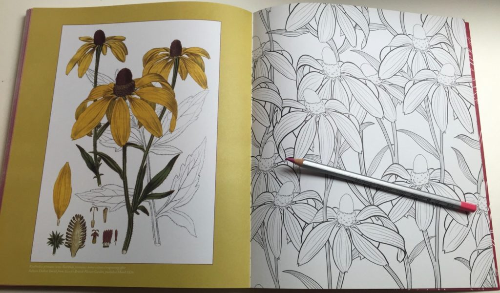 The illustrations have a lot of wide open spaces to make coloring easy