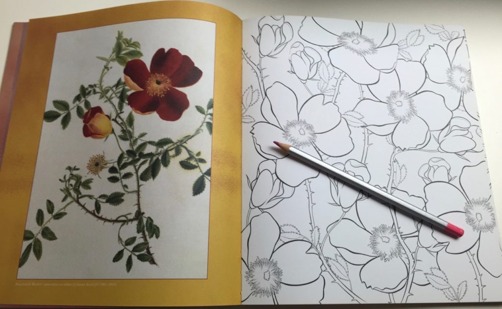 The inspirational image can be used as a color palette or choose your own