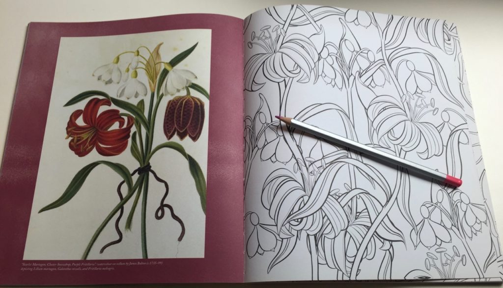 The flower is used as a pattern in the line art for each image