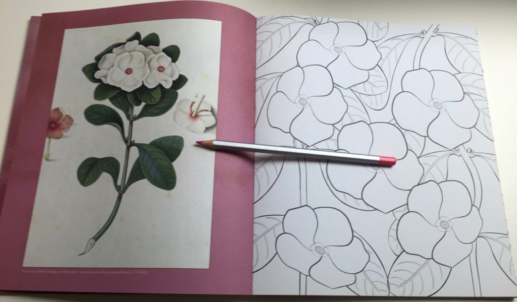 The book contains 45 floral coloring pages to colour