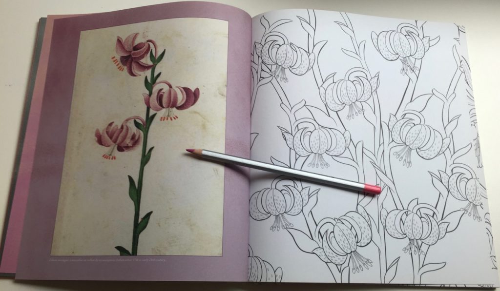 There is a large variety of flowers within the book