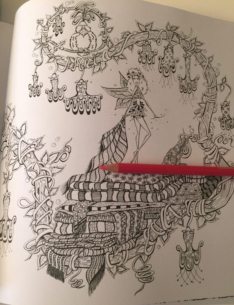 Fairies in Dreamland Coloring Book Review