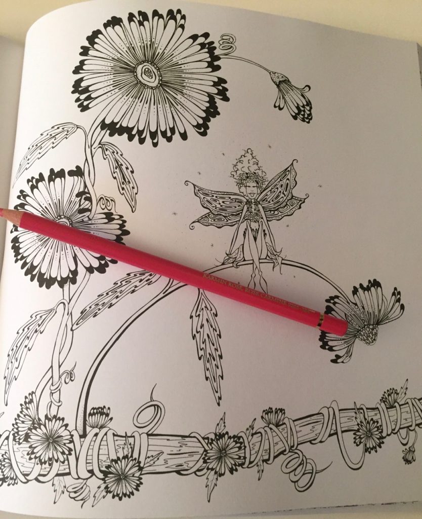 Fairies in Dreamland Coloring Book Review