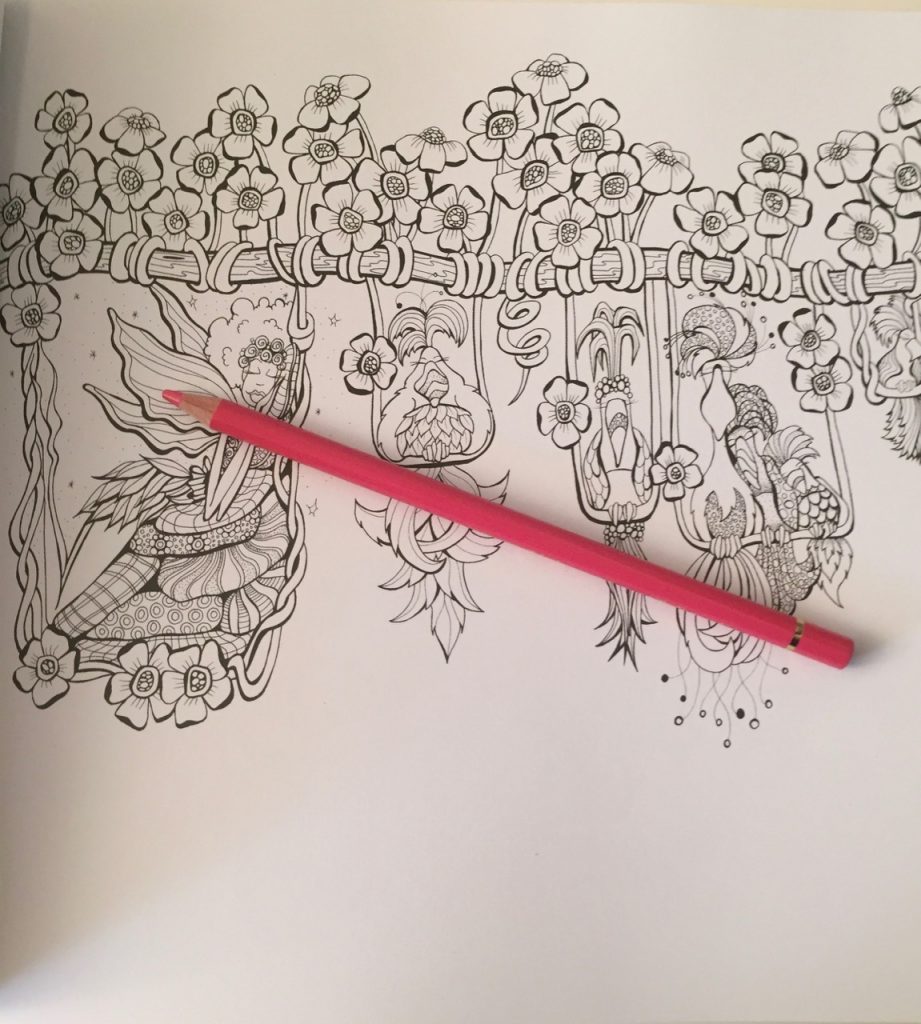 Fairies in Dreamland Coloring Book Review