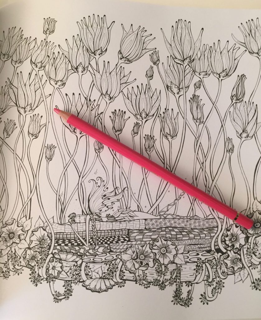 Fairies in Dreamland Coloring Book Review