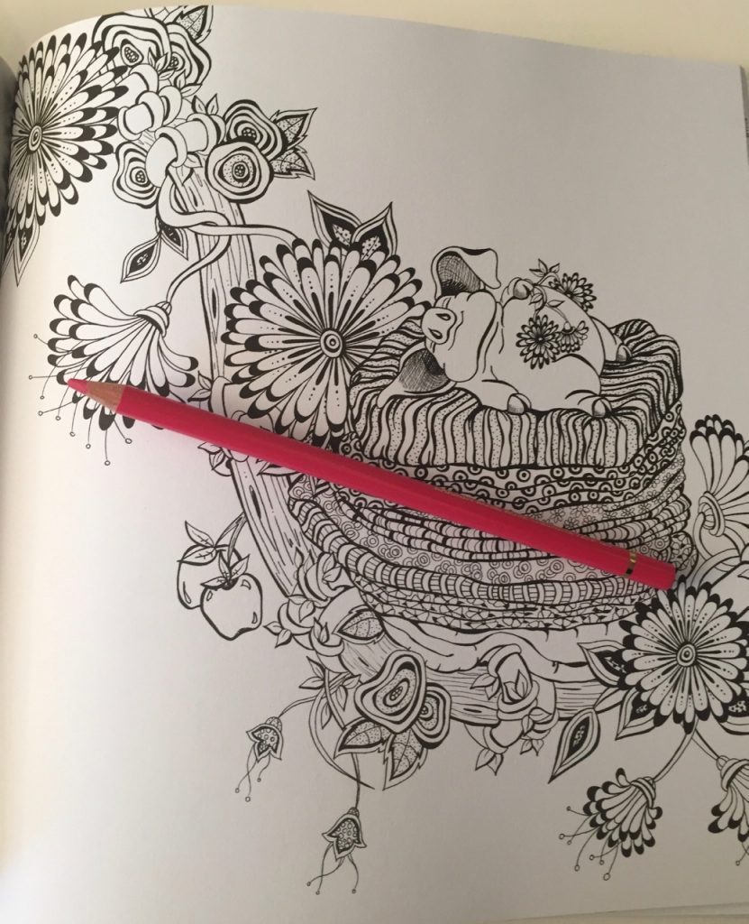 Fairies in Dreamland Coloring Book Review
