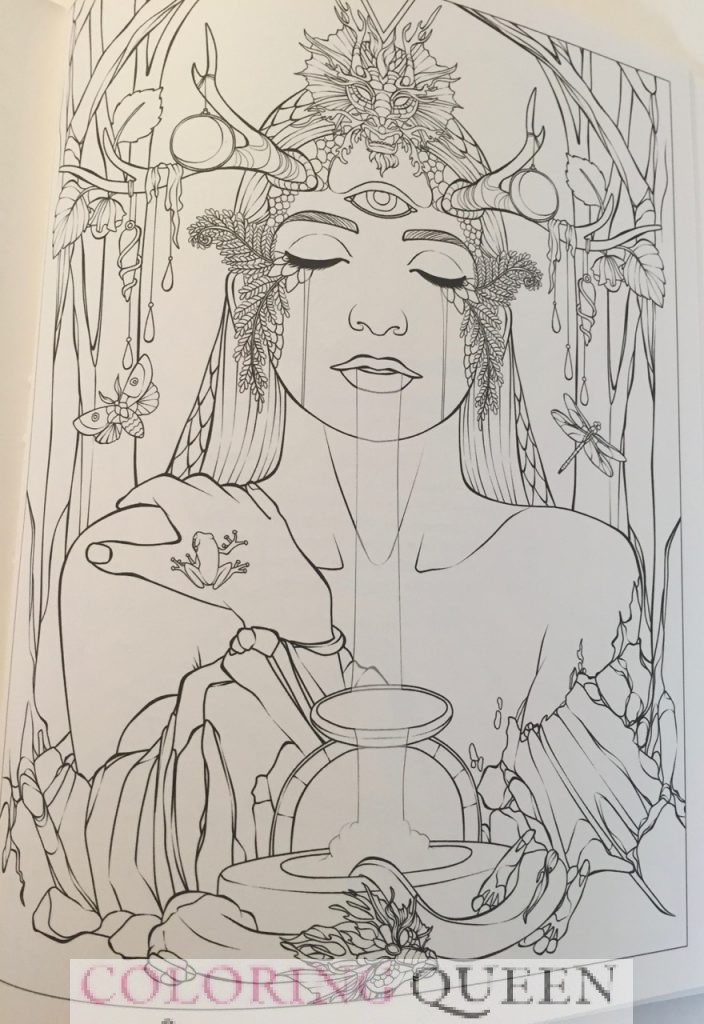 Dreams of Dragons Coloring Book