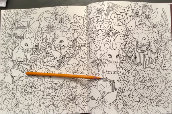 Double page spread